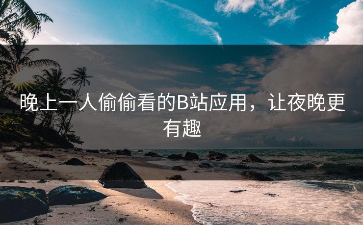 晚上一人偷偷看的B站应用，让夜晚更有趣