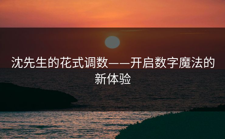 沈先生的花式调数——开启数字魔法的新体验