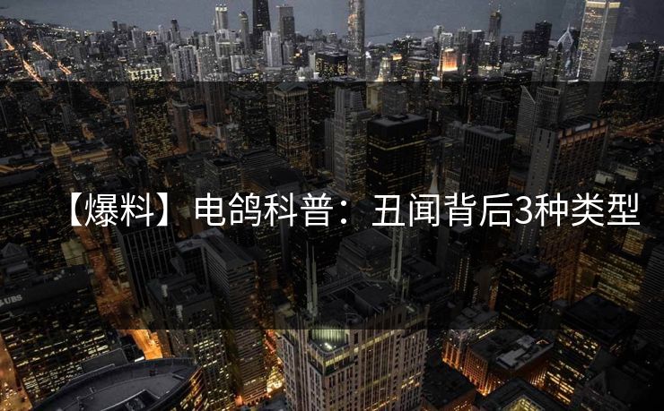 【爆料】电鸽科普：丑闻背后3种类型